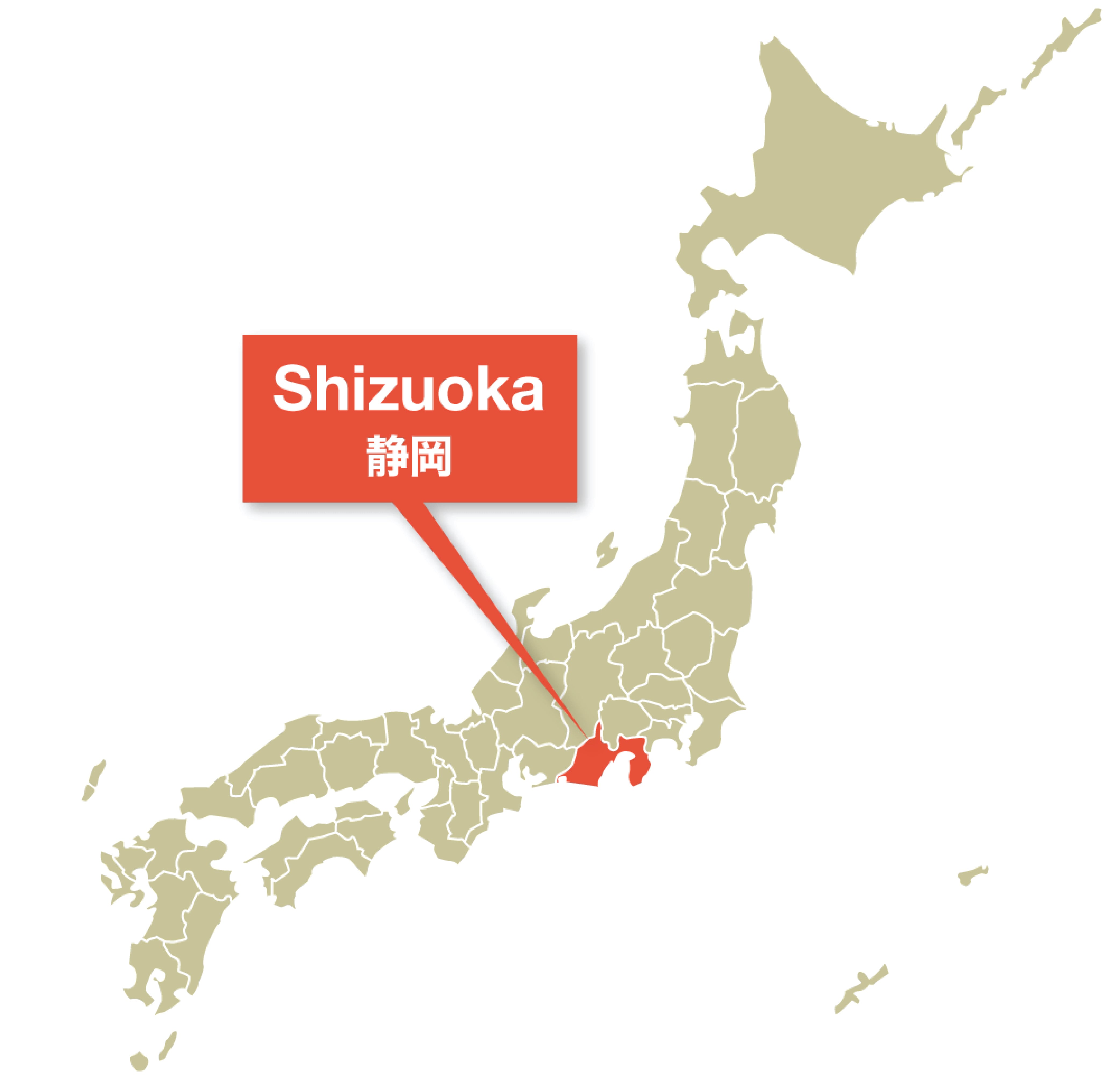 Kiyocha